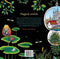 Magical worlds - Kleuren voor volwassenen