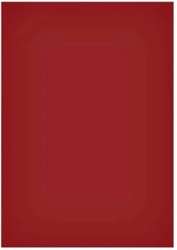 Magneetvel maul 200x300mm rood | 50 stuks