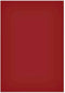 Magneetvel maul 200x300mm rood | 50 stuks