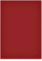 Magneetvel maul 200x300mm rood | 50 stuks
