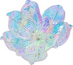 Magnolia pesd13h14 cm blauw/iris