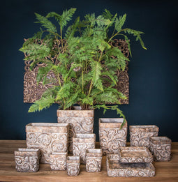 PTMD Rosana Vierkante Bloempot - 40 x 40 x 48 cm - Cement - Antiek goud