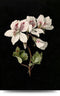 Maison de France - Aluminium Botanische bloemen -2 - aluminium - 60 x 90 cm
