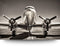 Maison de France - Aluminium Botanische bloemen -2 - aluminium - 60 x 90 cm