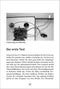 Make Your Own Bat Detector Kit