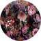 Melli Mello Makes me Wonder Wall Circle Pink