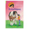 Manege de Zonnehoeve - De knuffelpony
