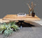 Mango Coffee Table Live Edge 120 3+3cm with Spiderleg