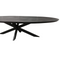 Mangoe Eettafel Brandy Black | 180 cm | Ovaal