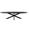 Mangoe Eettafel Brandy Black | 300 cm | Ovaal