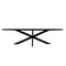 Mangoe Eettafel Brandy Black | 300 cm | Ovaal