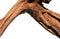 Mangrove aged wood large