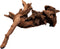Mangrove aged wood large