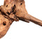 Mangrove aged wood x large