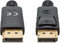 Manhattan 355582 DisplayPort-kabel DisplayPort Aansluitkabel DisplayPort-stekker, DisplayPort-stekker 1.00 m Zwart Afge