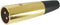 MANNELIJKE 3P XLR PLUG - VERGULD (CA099)