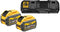 DeWalt DCB132 - XR FlexVolt Accu 54V 9.0Ah - Multilader met 2 laadpoorten (2 stuks)