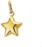 Marie Celeste hanger ster - Goud