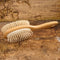 Mars Coat-King Solingen 99M-380 - Paardenborstel met Natuurlijke Borstelharen en Houten Pinnen