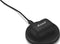 Marshall Motif II - In-ear koptelefoon - ANC - Zwart