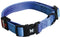 Martin Sellier Halsband Nylon Turquoise Verstelbaar