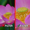Marumi Filter DHG Macro Achro 200 + 5 72 mm