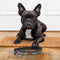 MARVEL - Hondenriem - S (Lengte 120cm - breedte 1.5cm)