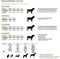 MARVEL - Hondentuigje - M/L (Lengte 60-75cm - Breedte 2cm)