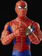 Marvel Legends Series: Japanse Spider-Man - Speelfiguur