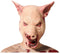 Masker Halloween Roze Varken
