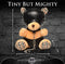 Master Series - Sexy Cadeau - Kinky Knuffel Beer - Vegan Leer - Zwarte en Licht Perzikkleurig