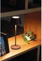 MAULnina LED Accu-lamp - dimmbaar - standvoet - binnen en buiten - bruin - 1 stuk - 12 x 12 x 34 cm - MAUL