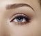 Max Factor 2000 Calorie Dramatic Volume Waterproof Mascara - 001 Black