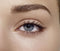 Max Factor 2000 Calorie Dramatic Volume Waterproof Mascara - 001 Black