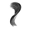 Max Factor Masterpiece 2-in-1 Lash Wow 001 Black Mascara