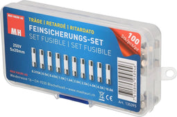 Max Hauri 135395 Buiszekering assortiment (Ø x l) 5 mm x 20 mm Traag -T- Inhoud 100 stuk(s)
