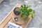 MAX&LUUK Salontafel Luke 104 cm