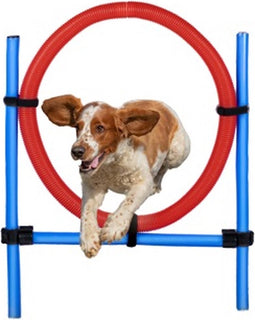 maxxpro Agility Ring - Set Agility voor Honden - 85 x 3 CM - Kunststof - Blauw/ Rood