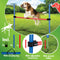 maxxpro Agility Spring Stok - Set Agility voor Honden - 85 x 3 CM - Kunststof - Blauw/ Rood