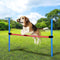 maxxpro Agility Spring Stok - Set Agility voor Honden - 85 x 3 CM - Kunststof - Blauw/ Rood