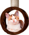 maxxpro Krabpaal - Kattenspeelgoed - 165 CM - Kattenpaal - met Kattenhuis en Kattentunnel - voor Grote en Kleine Kat - Sisal - Bruin