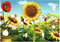 Maya stickerboek - Sticker Studio