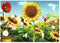 Maya stickerboek - Sticker Studio