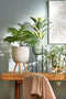Mica Decorations Palm Kunstplant in Bloempot Stan - H40 x Ø35 cm - Groen