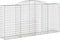 vidaXL - Schanskorven - 6 - st - gewelfd - 300x50x140/160 - cm - ijzer
