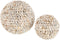 J-Line decoratie Bol Schelpen Noa - steen - naturel - large