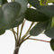 Mica Decorations Eucalyptus - Kunstplant in Bloempot - H75 x Ø15 cm - Groen