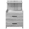 Nachtkastjes 2 st met 2 lades 40x36,5x62 cm grijs sonoma eiken