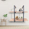 Wandrek ladder Stoer - wandplank boekenkast - wandkast - industrieel - 2 opbergplanken