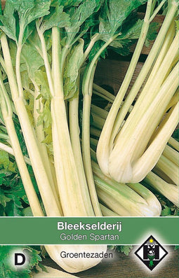 2 stuks - Van hemert co - Bleekselderij Golden Spartan